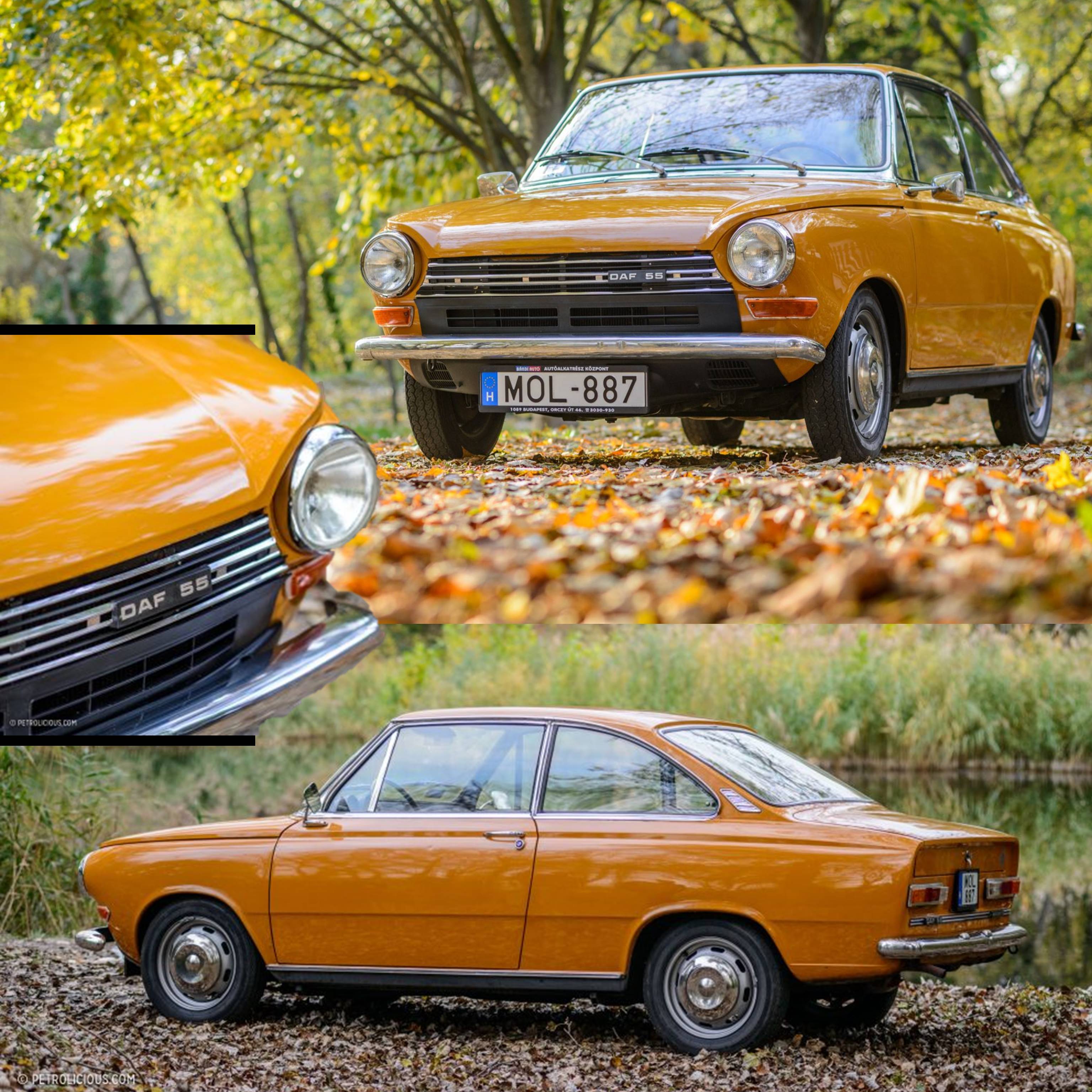 Daf 55