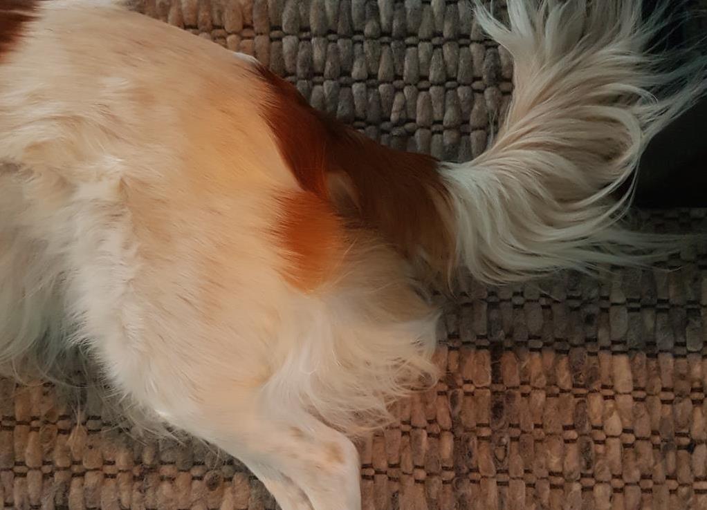 #