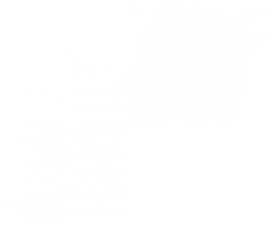 twitter-icon